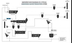 Sulfate Ammonium30